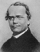 mendel.gif